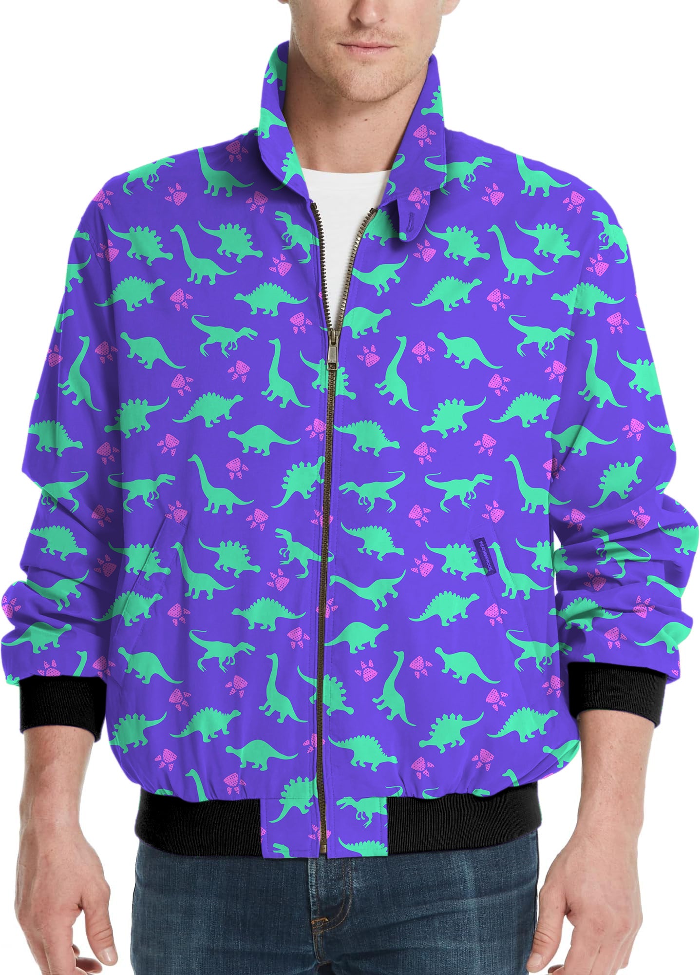 Land Before Time-Men's Golf Windbreaker Light Jacket