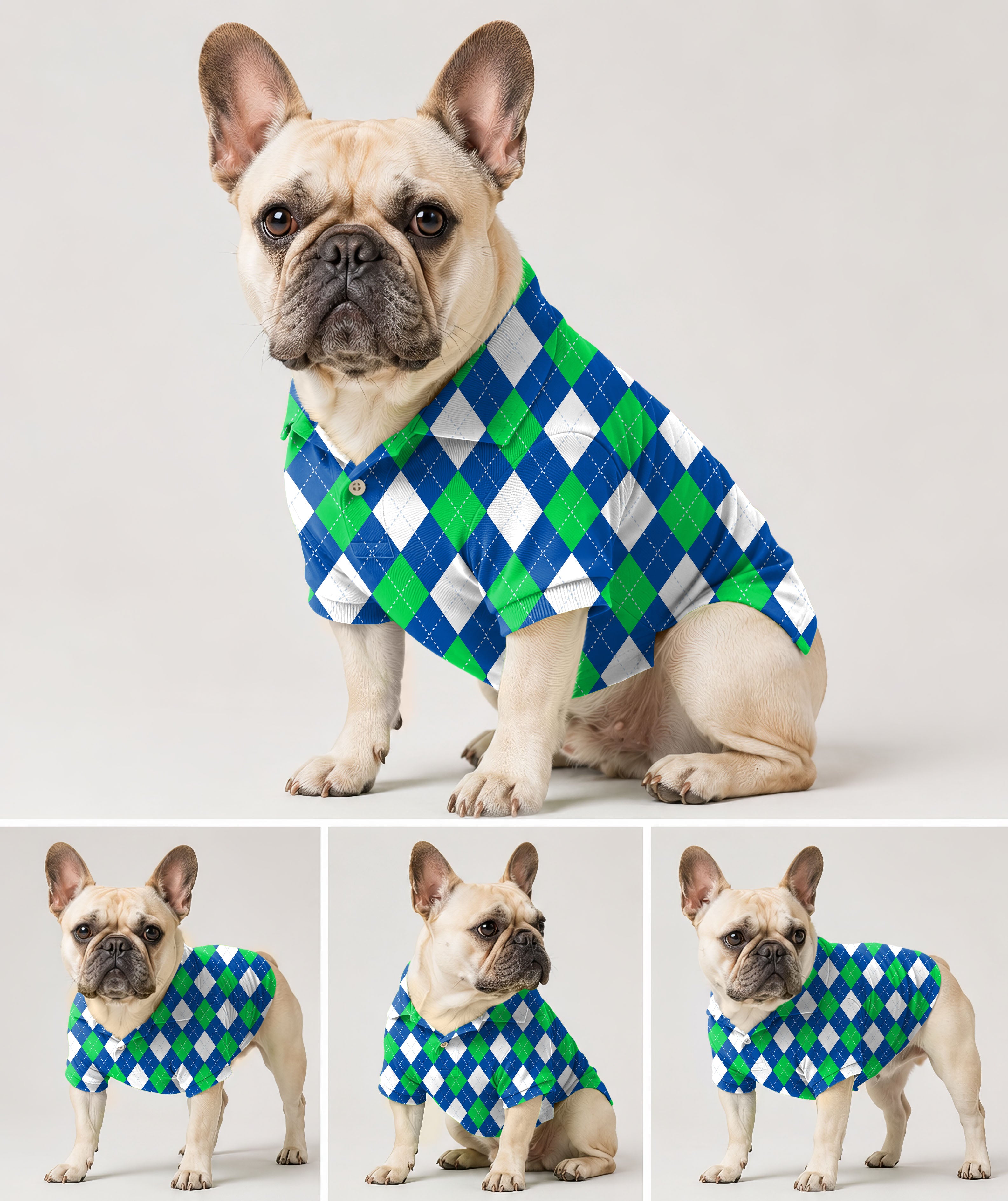 Dog's Argyle green blue Polo