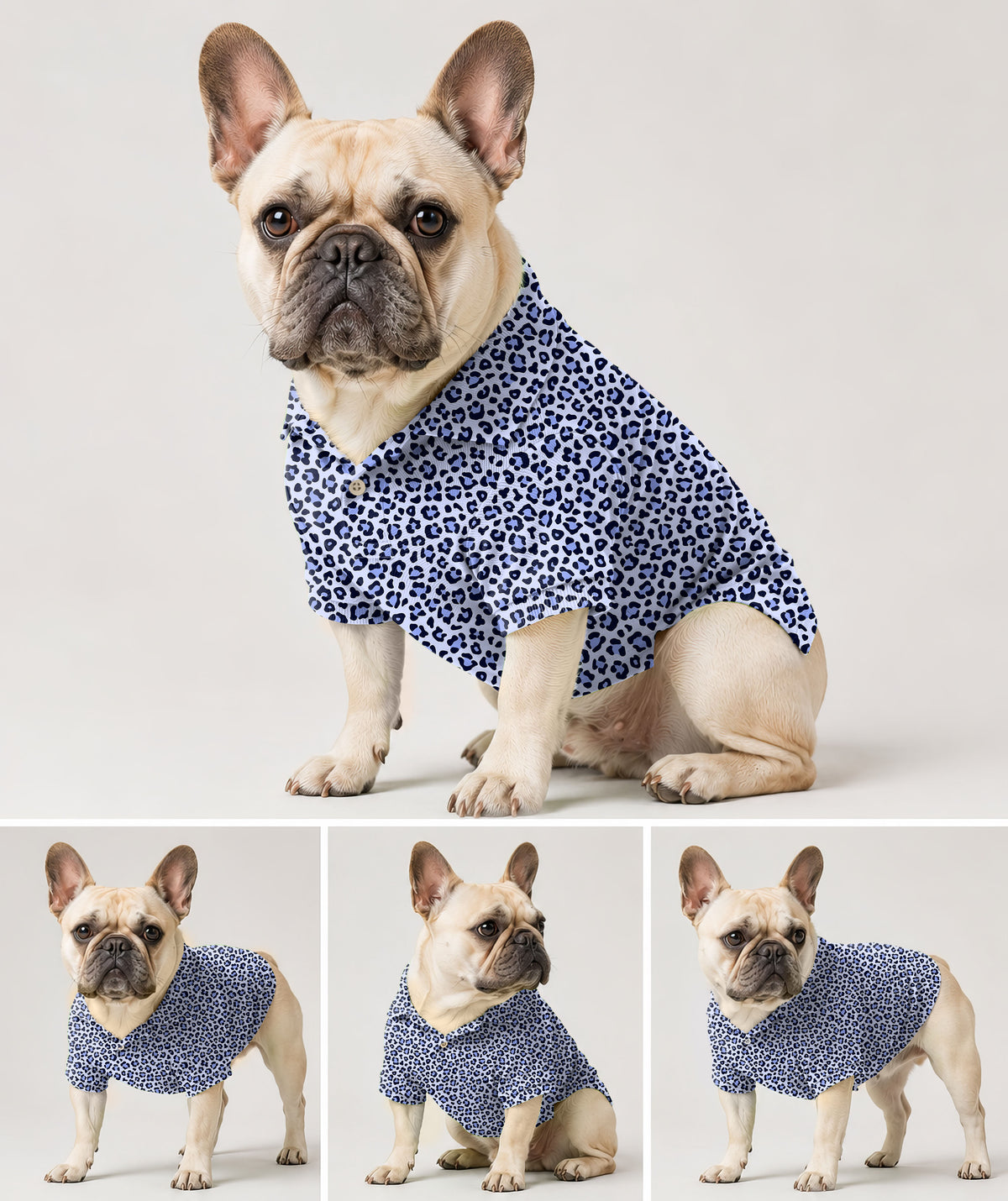 Dog's purple leopard print Golf Polo
