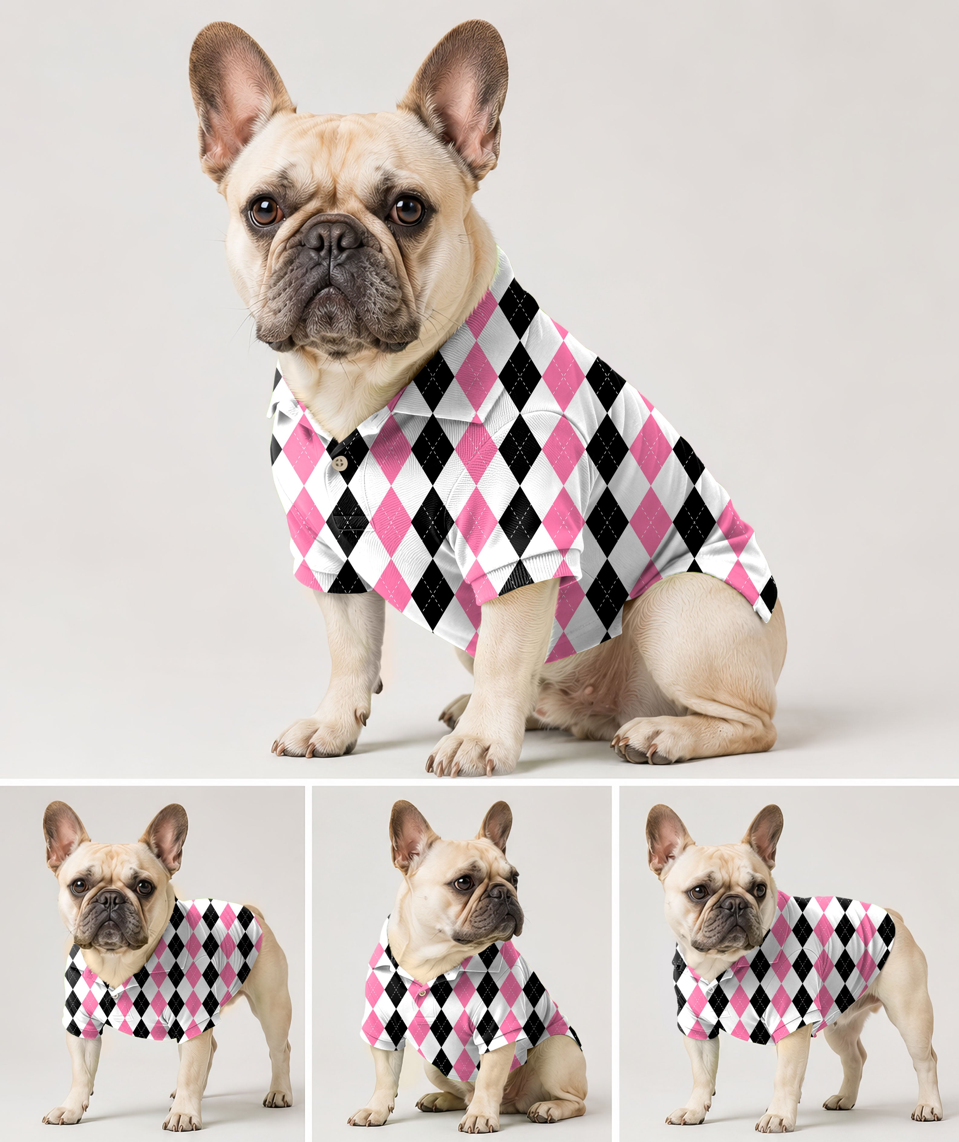 Dog's pink black argyle Polo
