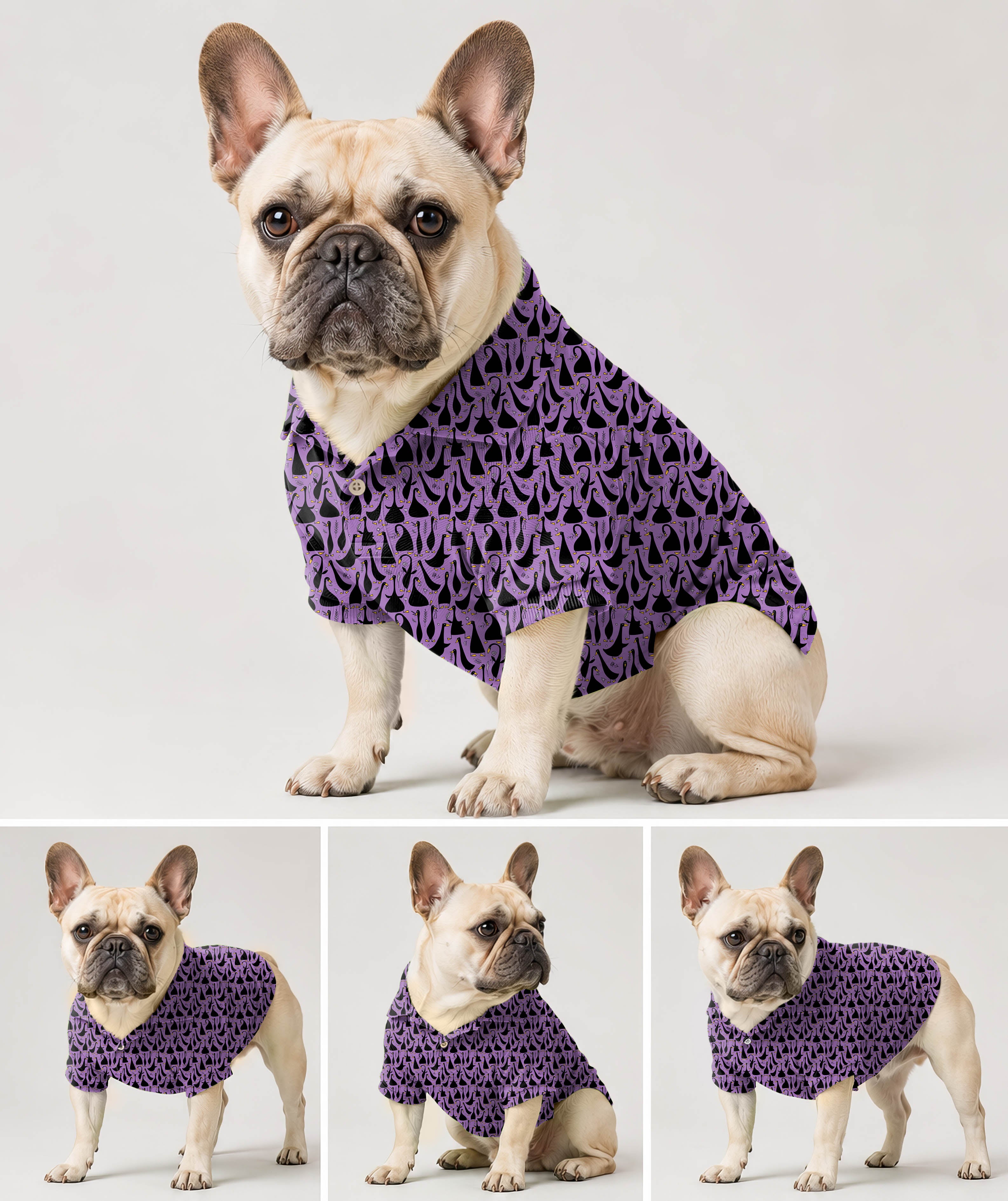 Dog's Black Goose Purple Golf Polo