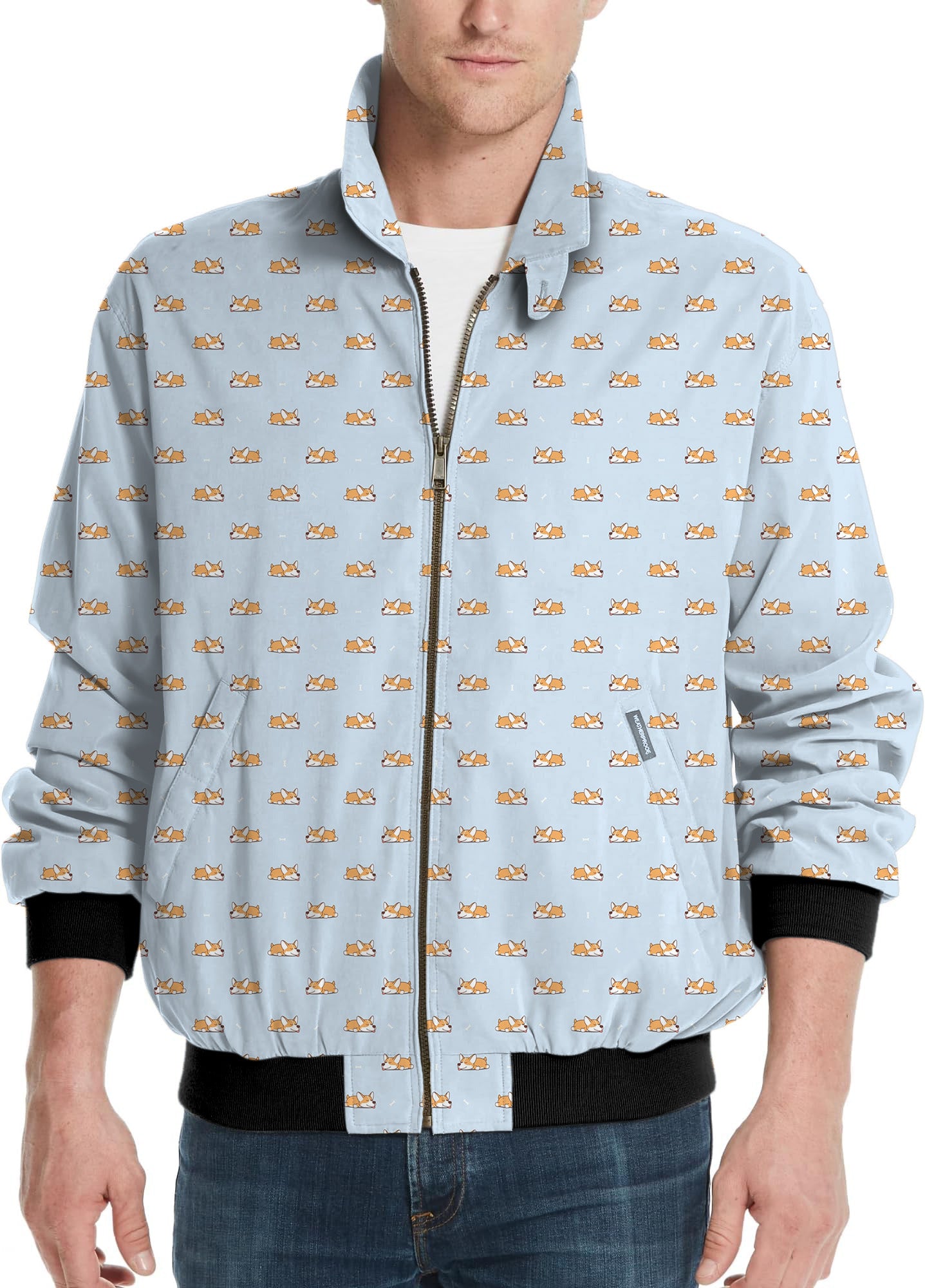 Cute corgi-Men's Golf Windbreaker Light Jacket