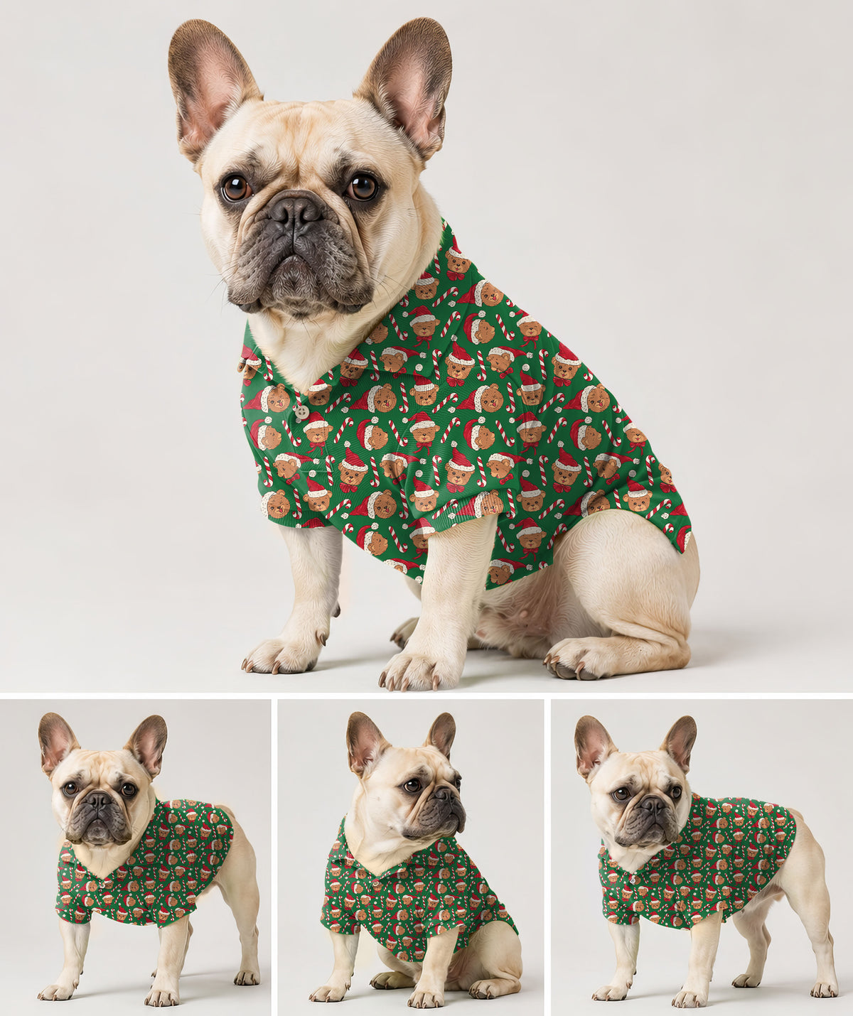Dog's Green Christmas Teddy Bear Golf Polo
