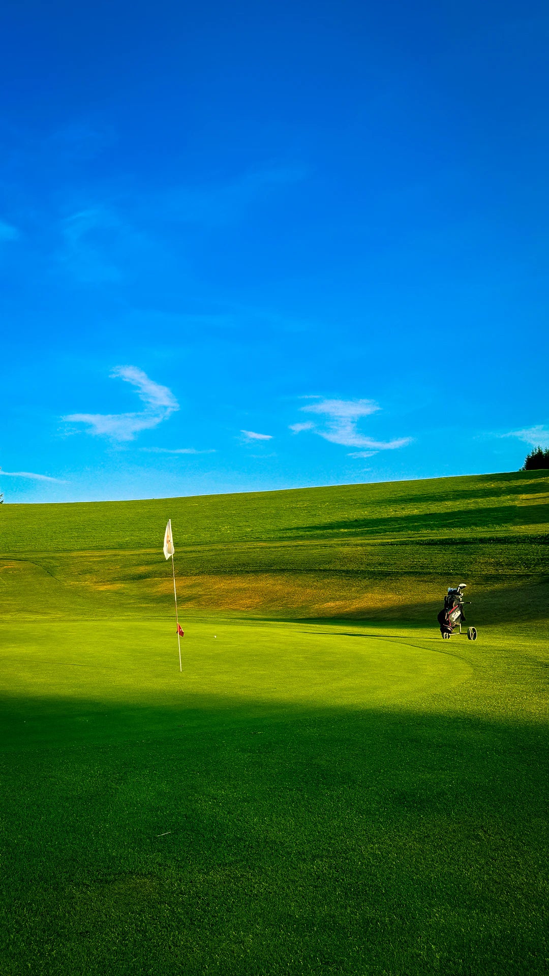 The Impact of Color on Golf Performance Science Insights