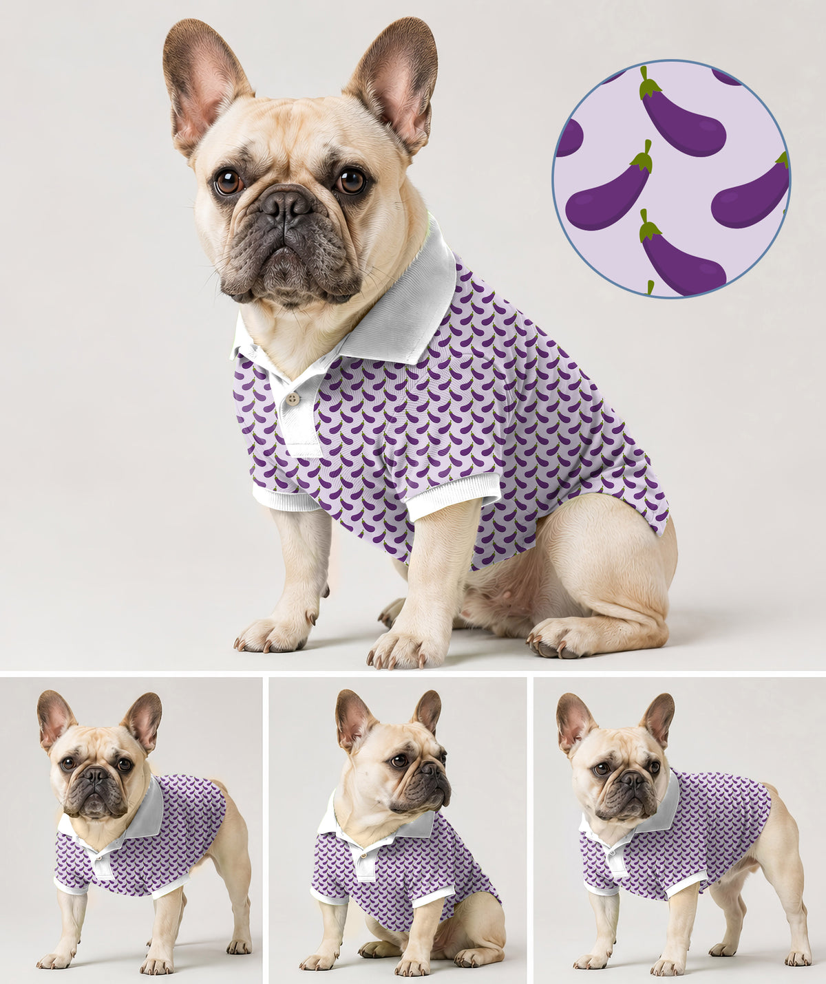 Dog's Purple eggplant Golf Polo