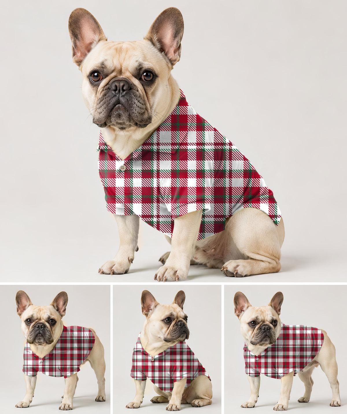 Dog's Christmas stripes Golf Polo