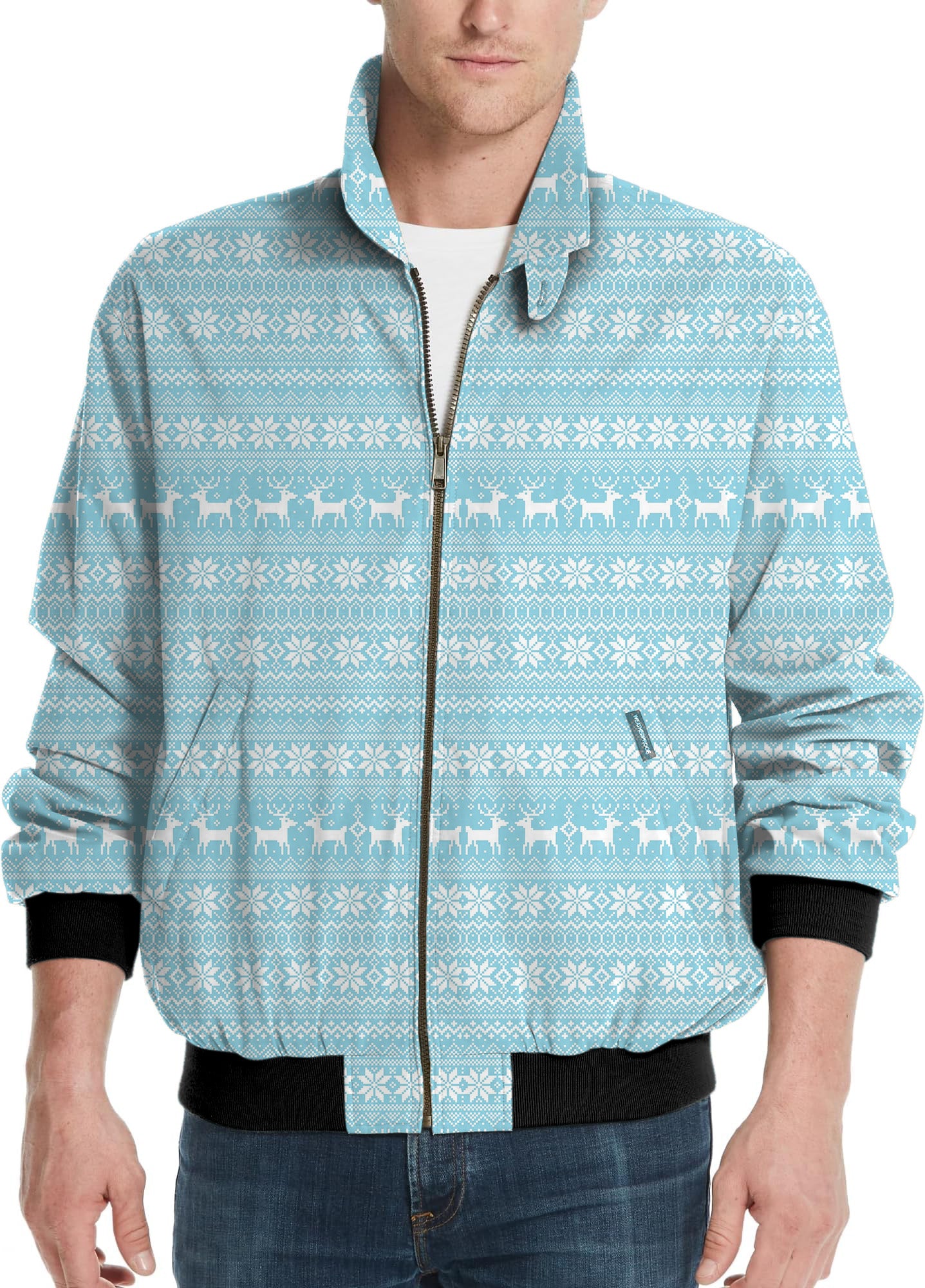 Frozen Wonderland-Men's Golf Windbreaker Light Jacket