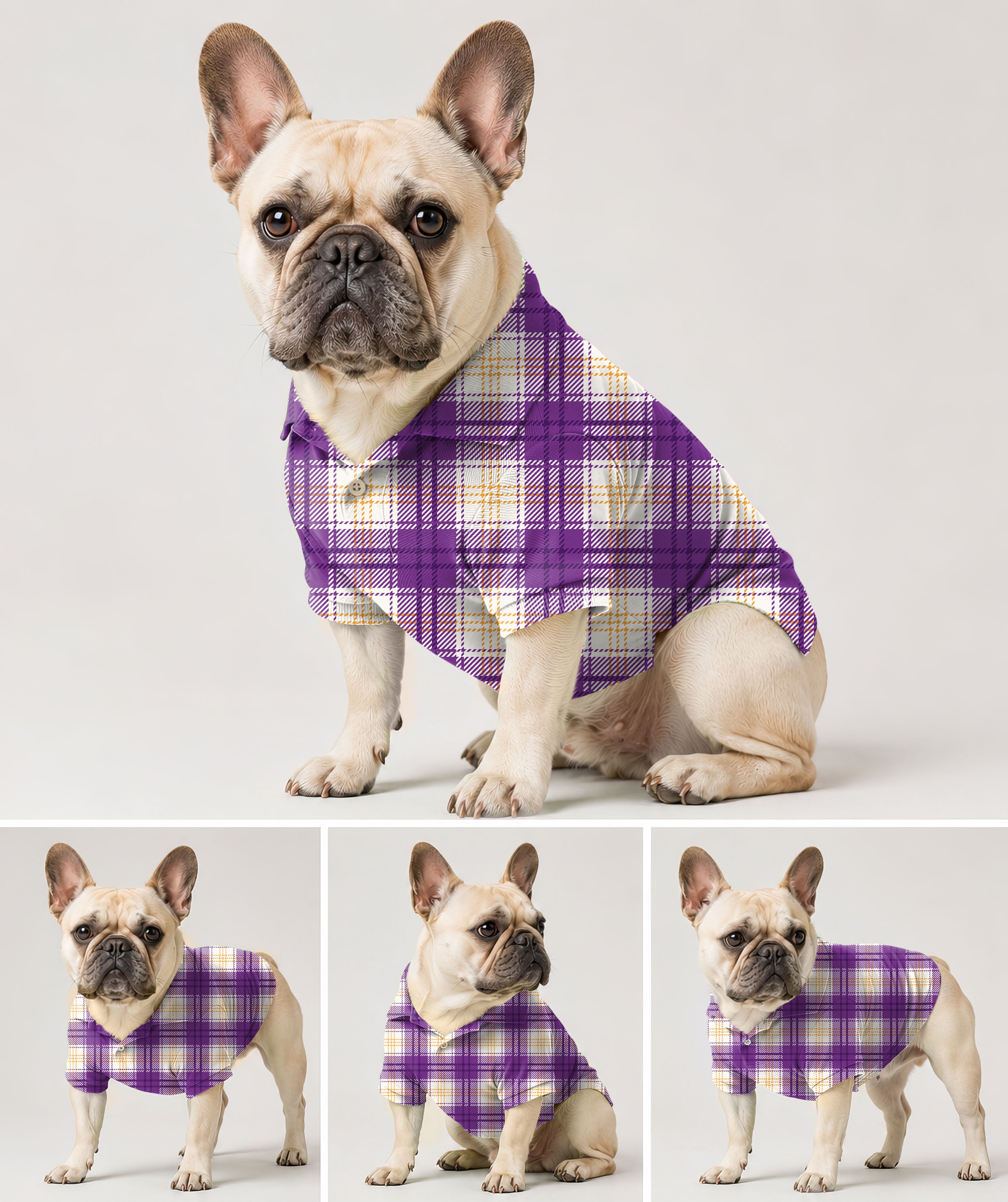 Dog's Halloween purple and yellow grid pattern Golf Polo