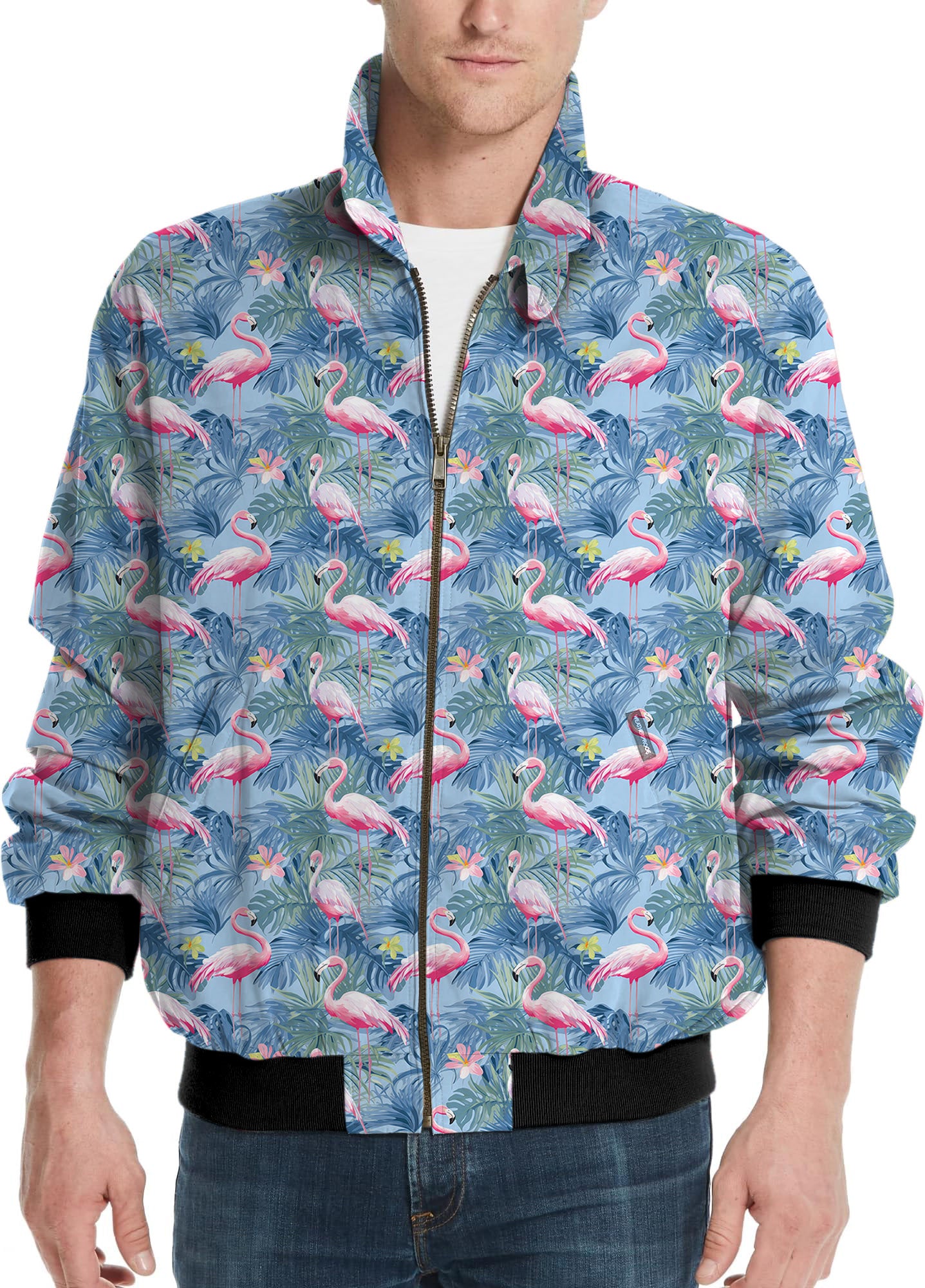 Tropical birds pink flamingo-Men's Golf Windbreaker Light Jacket