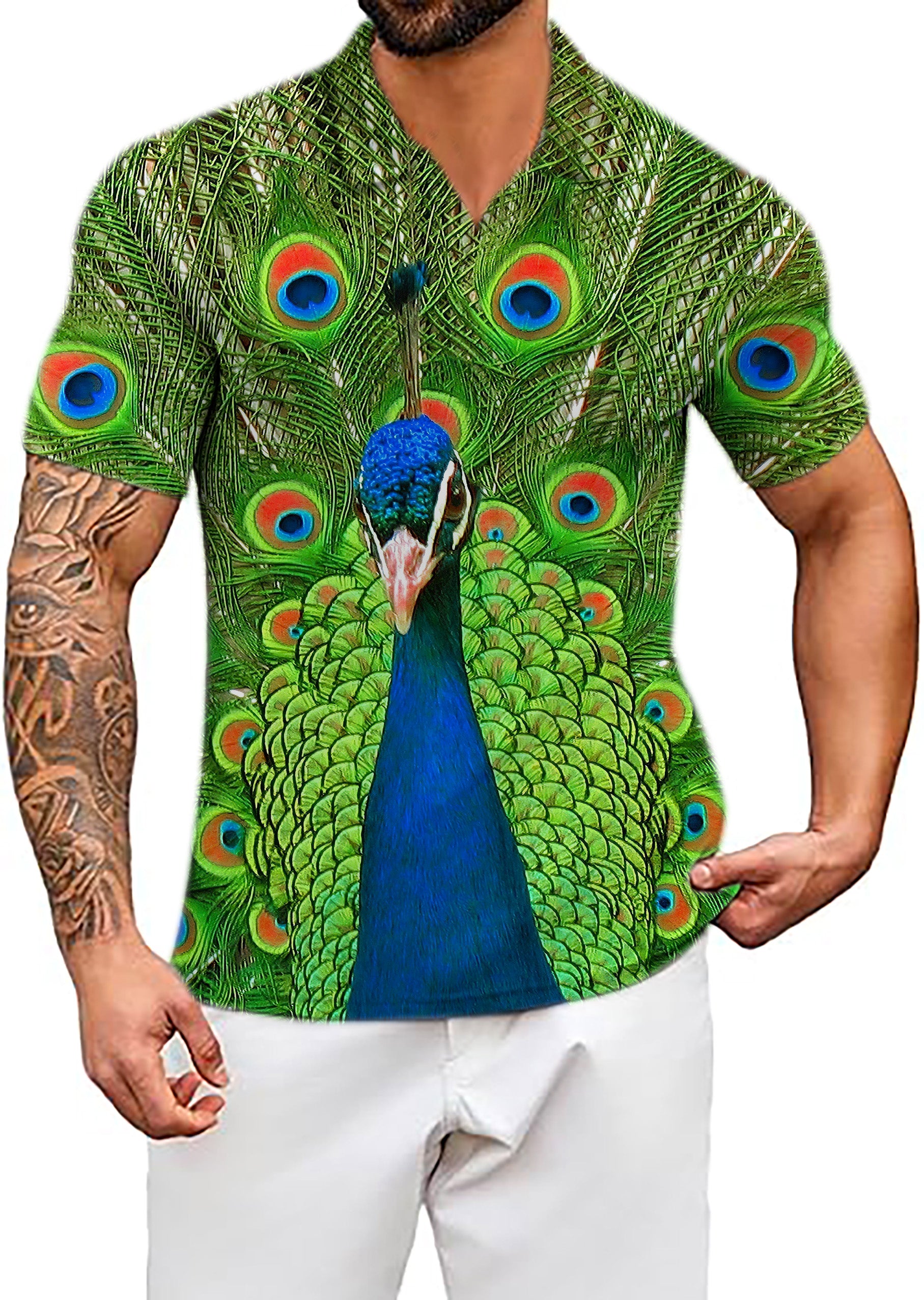 Men's peacock flaunting its tail V Neck Golf Polo Shirts