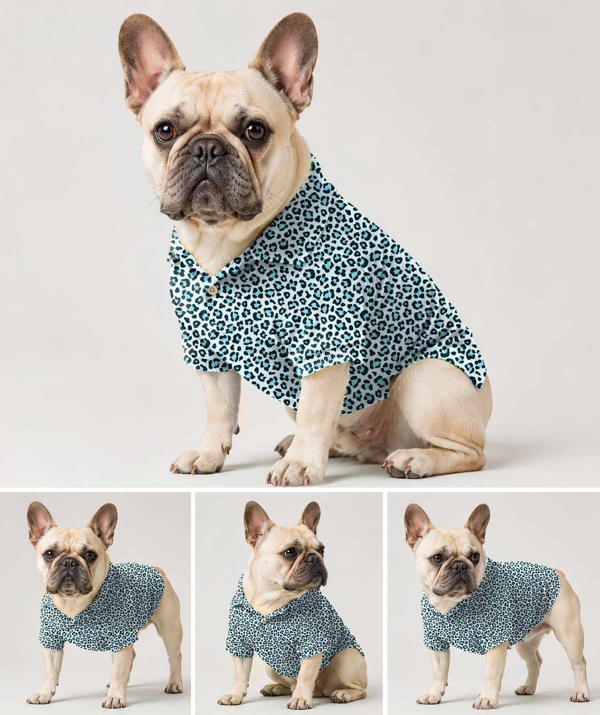 Dog's Blue leopard print Golf Polo