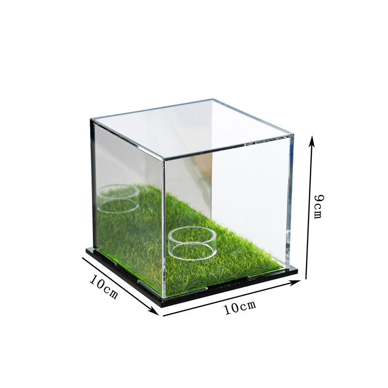 Golf Tees Set holder with transparent cube design and artificial grass base, 10x10x9 cm dimensions