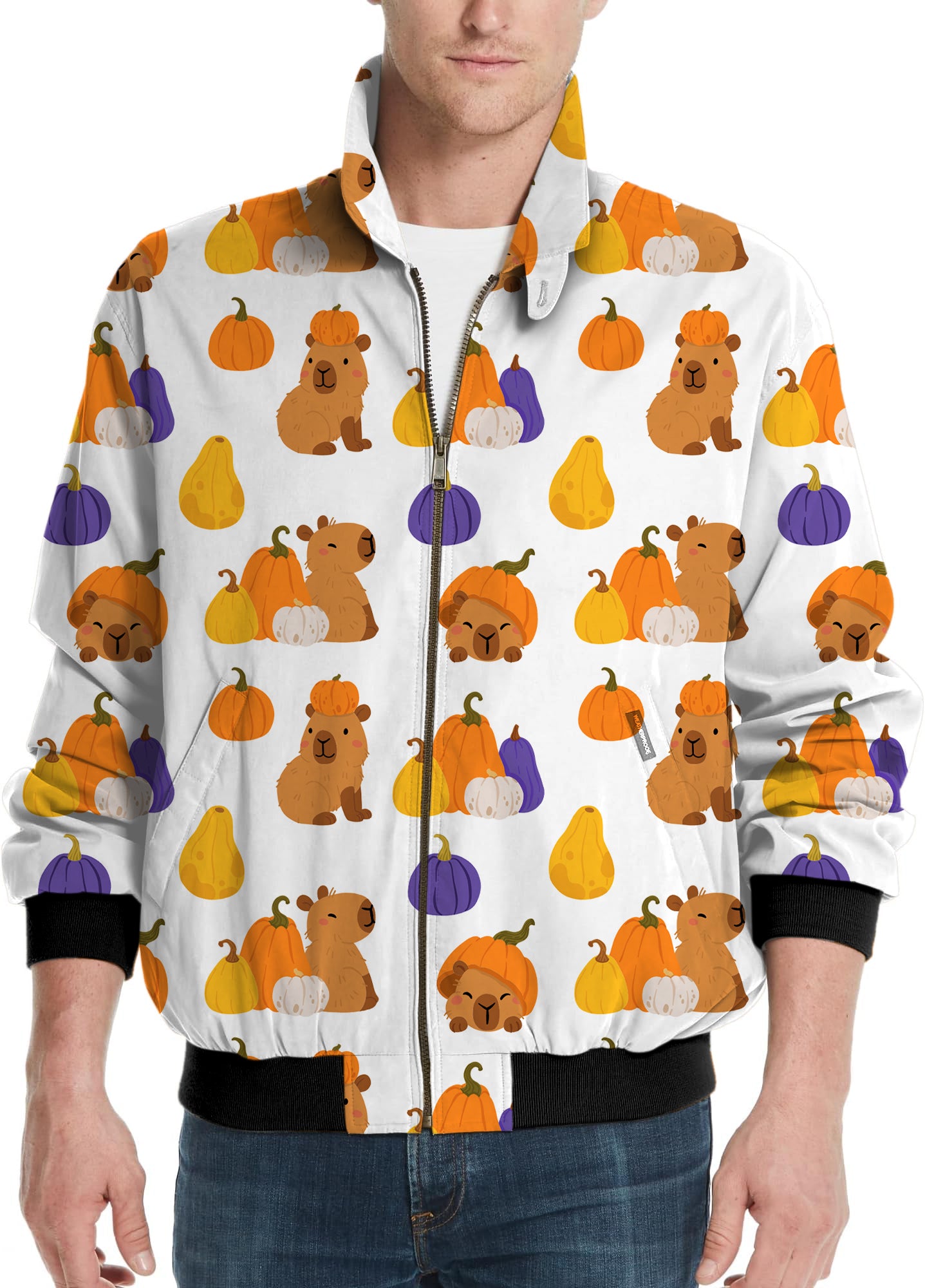 Halloween Capybara Men's Golf Windbreaker Light Jacket
