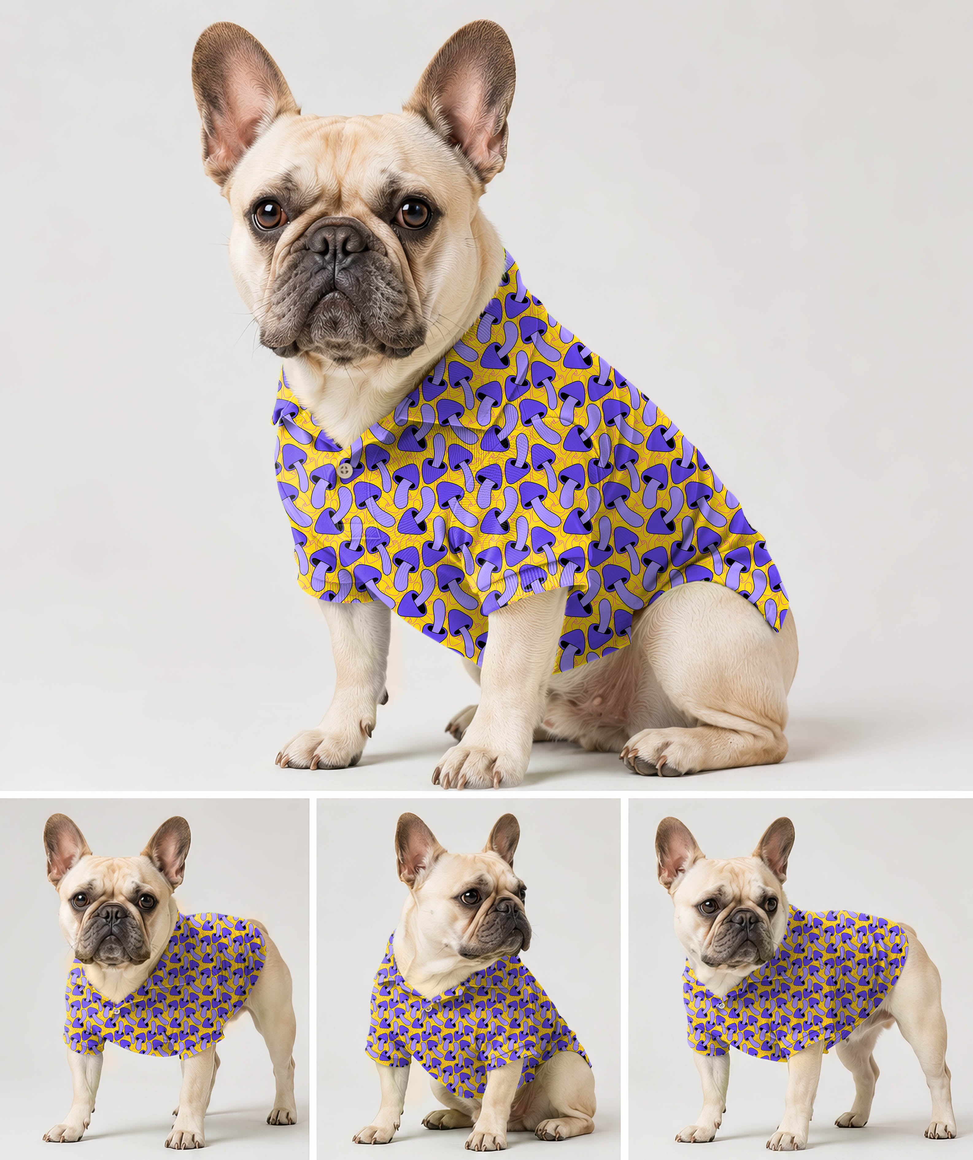 Dog's Psychedelic Mushroom Print Golf Polo