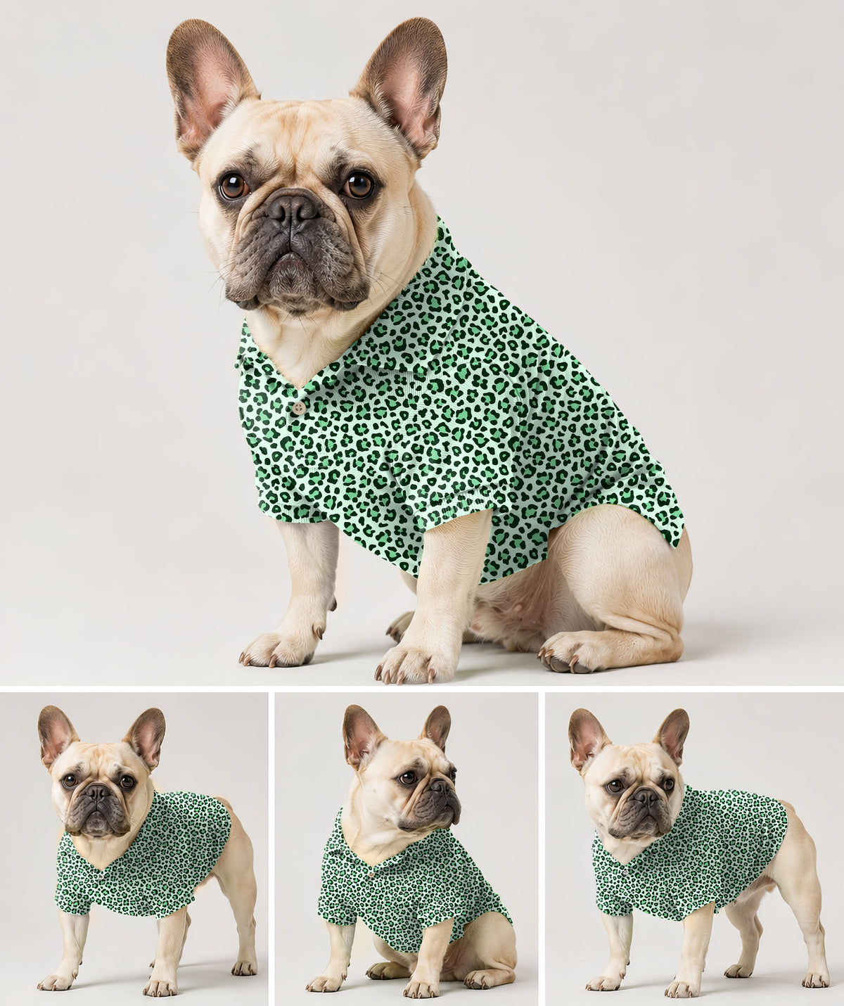 Dog's Green leopard print Golf Polo
