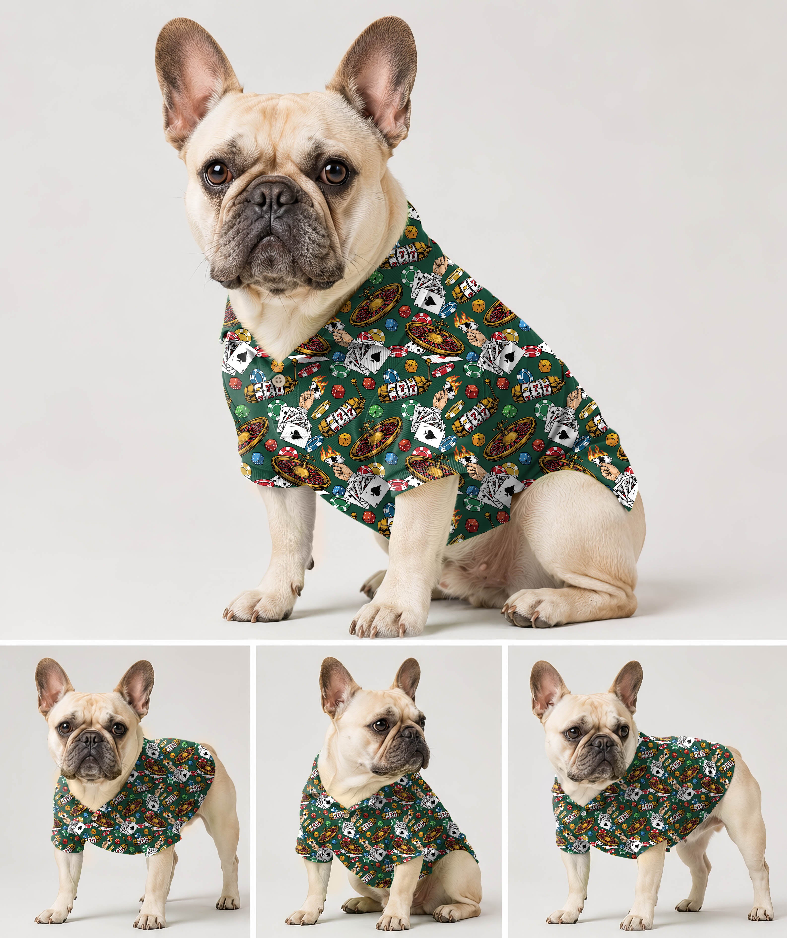 Dog's TACO TUESDAY golf polo
