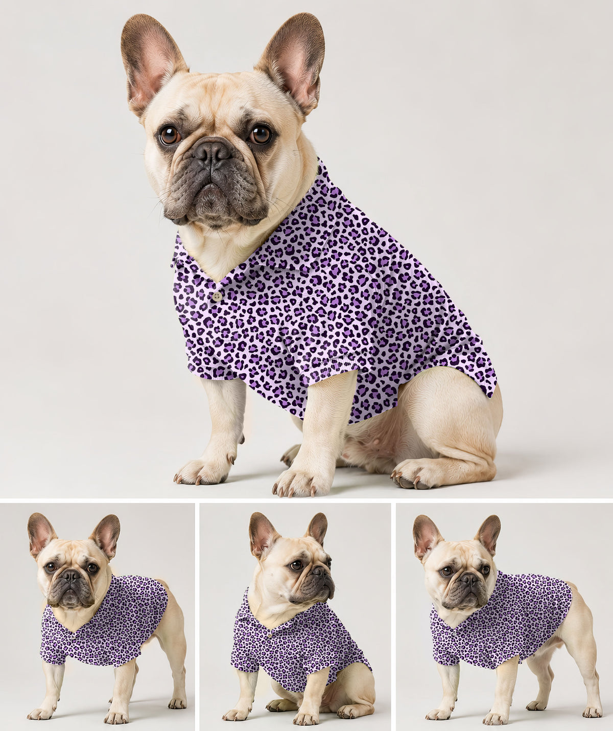 Dog's pink leopard print Golf Polo