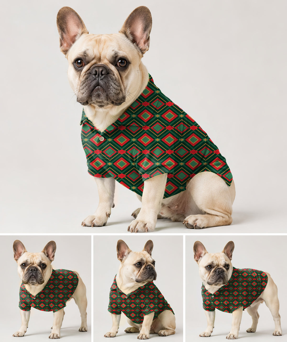 Dog's Christmas Argyle Golf Polo