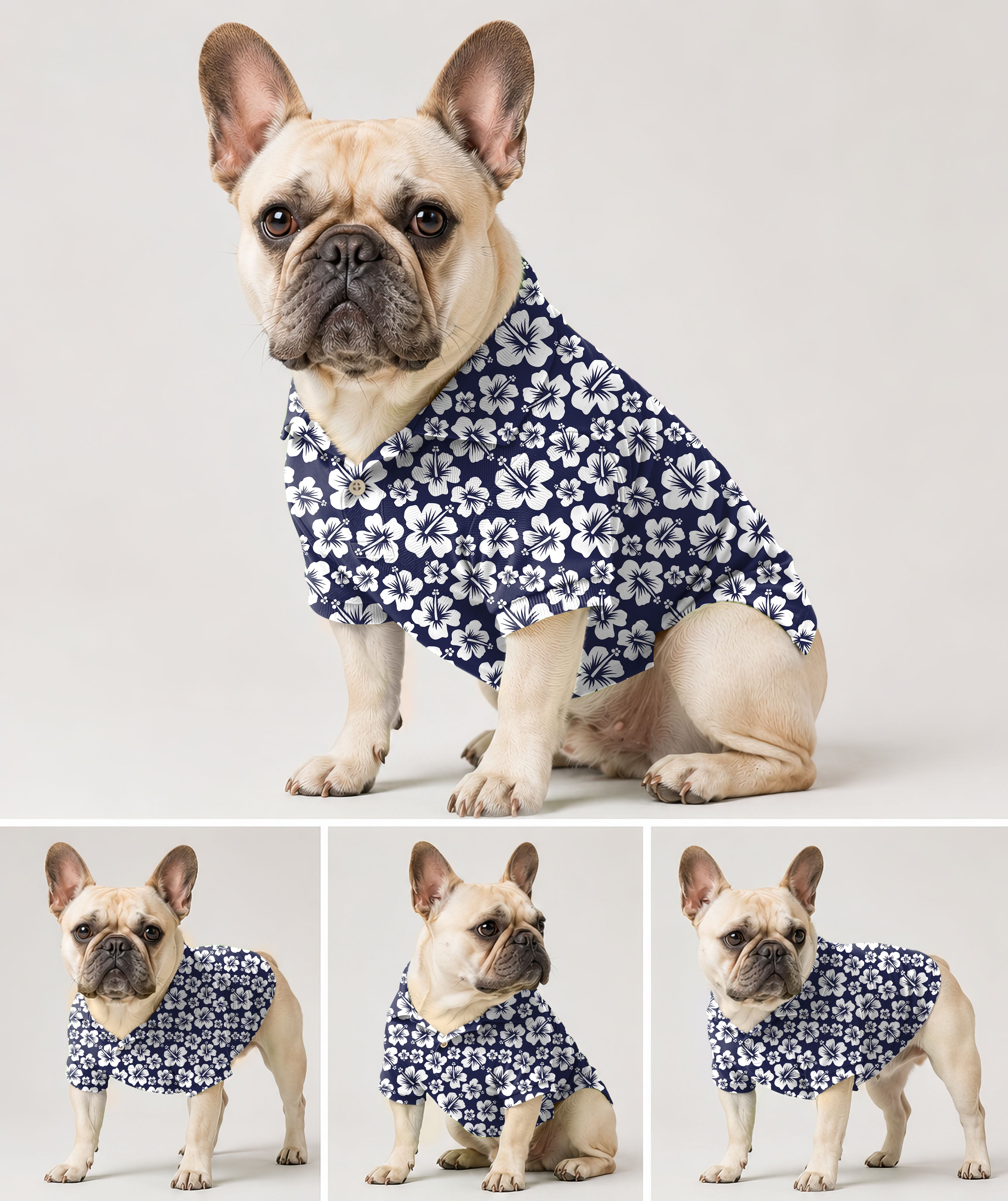 Dog's Summer Daisy golf polo