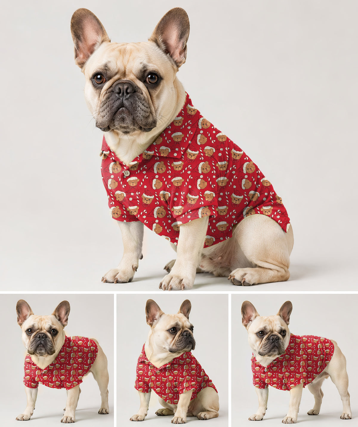 Dog's Red Christmas Teddy Bear Golf Polo