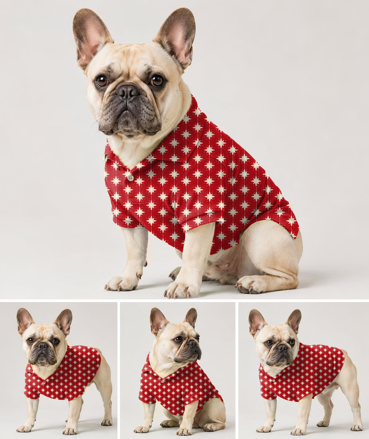 Dog's Christmas Star Golf Polo